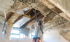 Best Asbestos and Lead Testing During Mold Inspection  in Healdsburg, CA